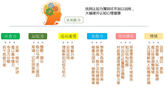 大脑360认知力评测训练脑电系统-北京视友科技有限责任公司